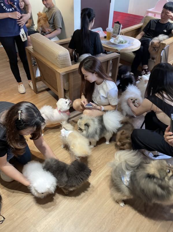 森林小徑健行店对宠物超友善