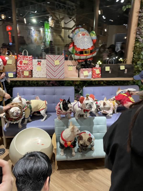 森林小徑健行店对宠物超友善